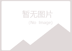 大同矿冰夏采矿有限公司